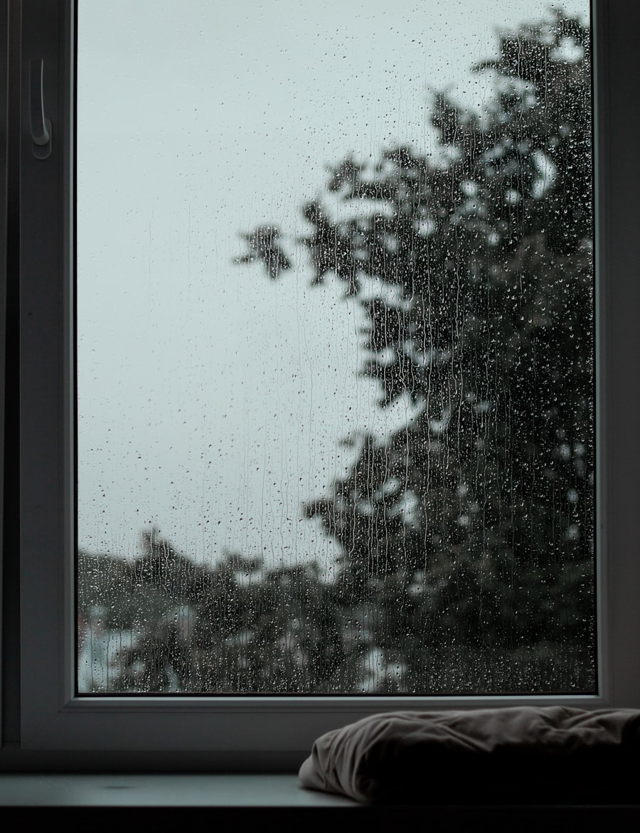 Fenster bei Regen, 1994